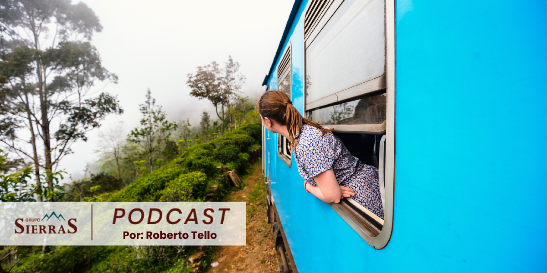 Actualización sobre el Tren Maya