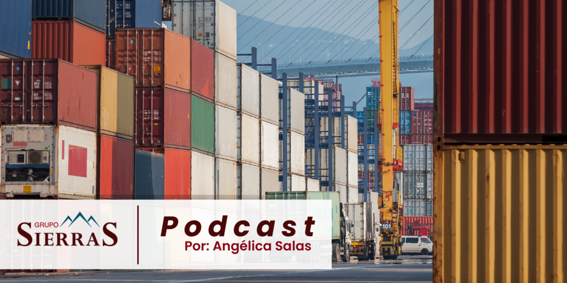 Saturación del puerto de Manzanillo; organización o falta de infraestructura